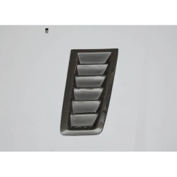 Capó Fibra Ford Focus RS 12  Tomas Carbono