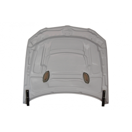 Capó Fibra BMW E92 LCI 10-13