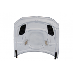 Capó Fibra BMW E92 / E93 M3 GTR