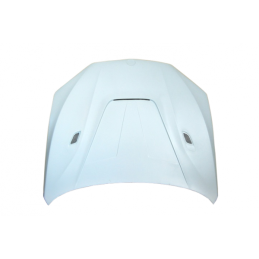 Capó De Fibra BMW F15 / F16