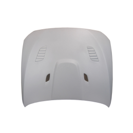 Capó De Fibra BMW F10 look GTR