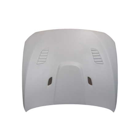 Capó De Fibra BMW F10 look GTR