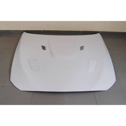 Capó De Fibra BMW F10 look GTR