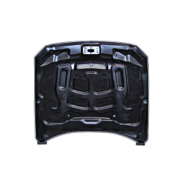 Capó Ford Mustang 2015-2017 look GT350 Metal