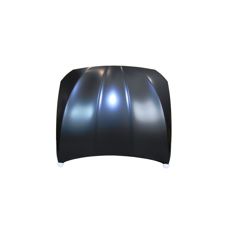 Capó BMW F10 / F11 10-16 Aluminio