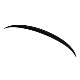 Alerón BMW F10 10-16 M5 Carbono