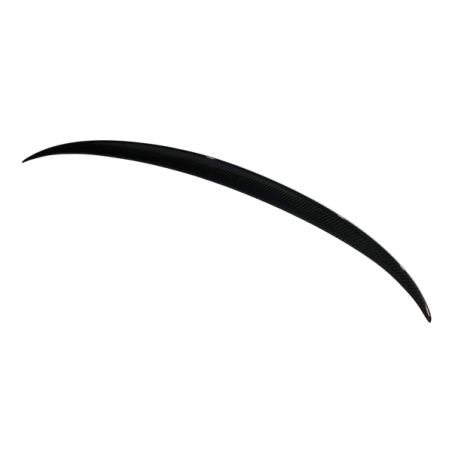 Alerón BMW F10 10-16 M5 Carbono