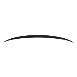 Alerón BMW F10 10-16 M5 Carbono