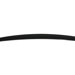 Alerón BMW F10 10-16 M5 Carbono