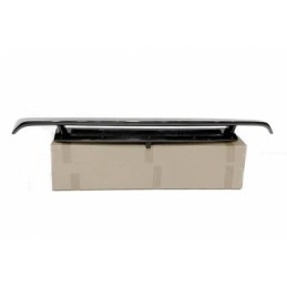 Alerón Audi R8 Look GT 2008-2014 Carbono