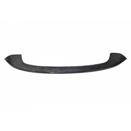 Alerón BMW F20 / F21 Carbono