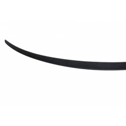 Alerón Tesla Model 3 Carbono