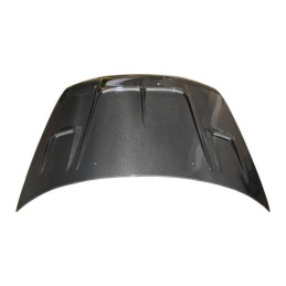 Capó Carbono Nissan Skyline R33 GTR-T