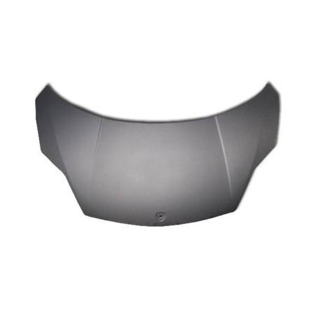 Capó Carbono Lamborghini Gallardo 2011