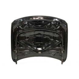 Capó Carbono BMW F82 / F83 M4 GTR