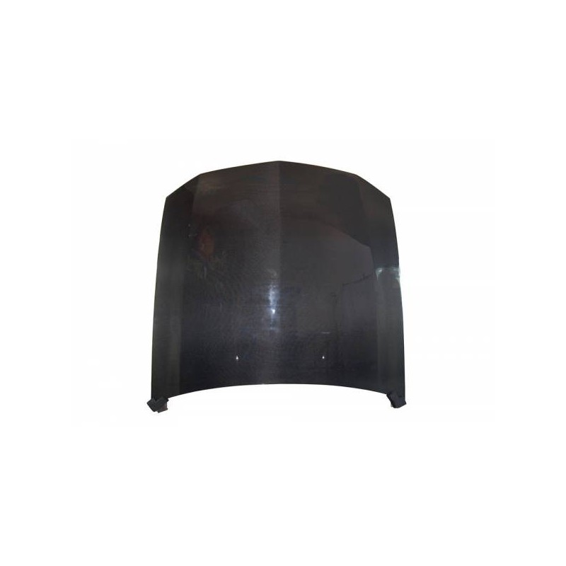 Capó Carbono Ford Mustang '05-'07