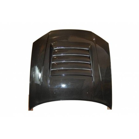 Capó Carbono Nissan Skyline R33 95 GTR C/Toma