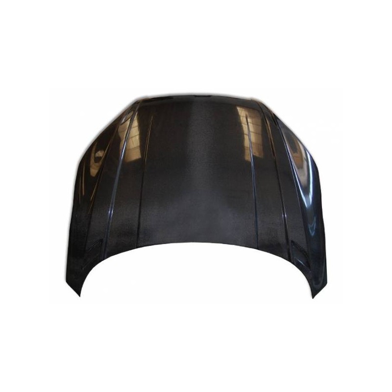 Capó Carbono Audi TT 8J 2006-2014