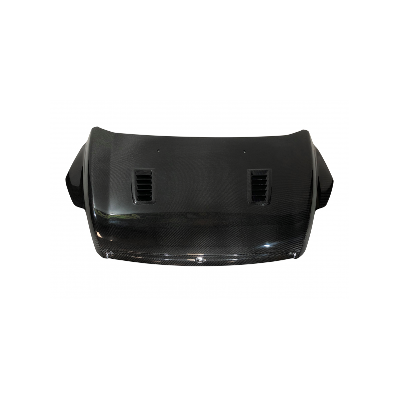 Capó Carbono Ford Focus 2008-2011 RS C/T
