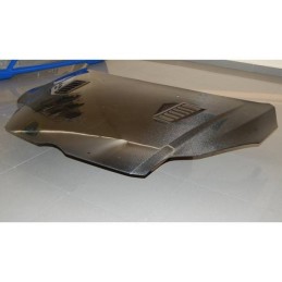 Capó Carbono Ford Focus 2012-2015 RS