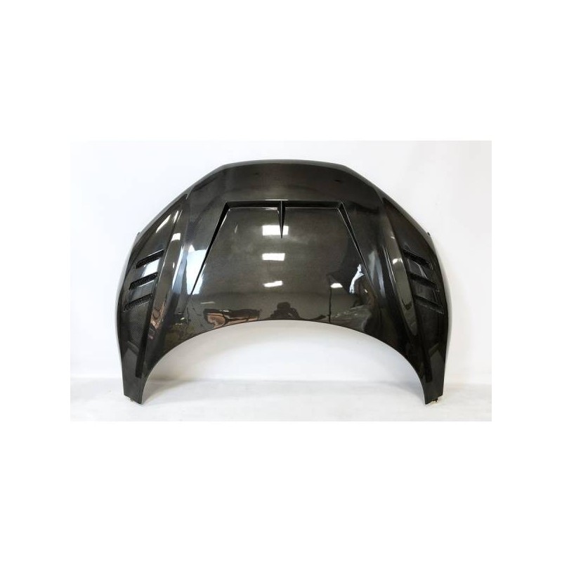 Capó Carbono Audi R8 2018-2021