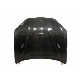 Capó Carbono BMW F16 / F15
