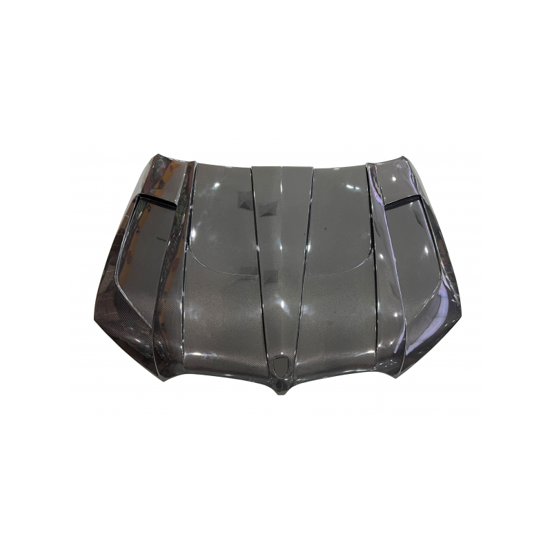 Capó Carbono BMW X5 G05 / G06 X6